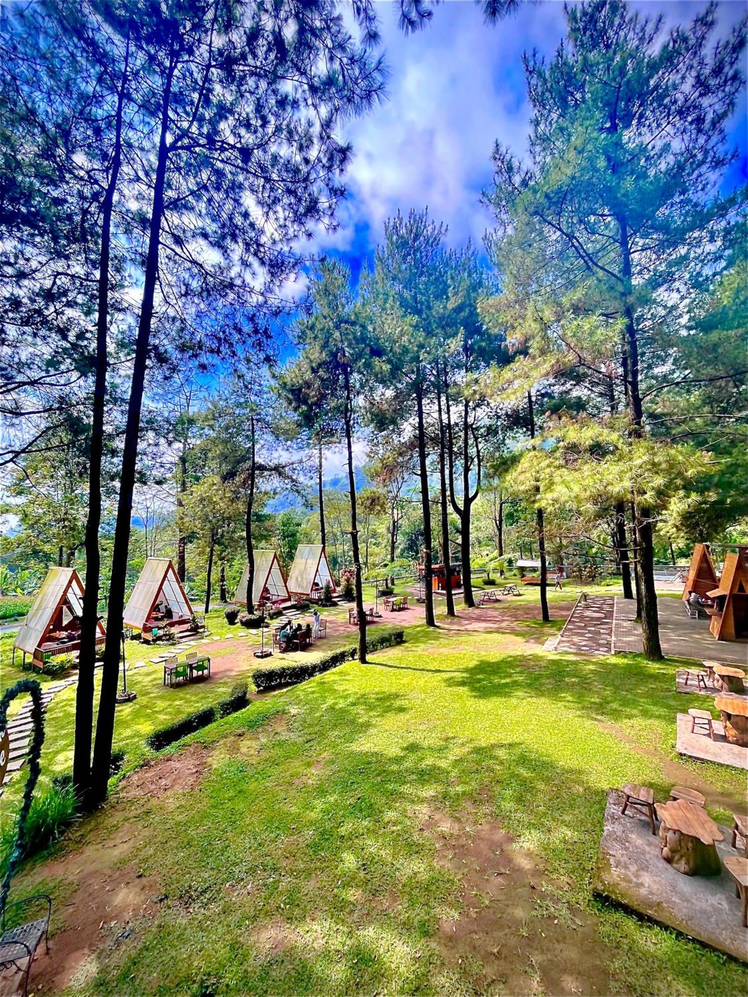Grand Whiz Hotel Bromo Exterior photo