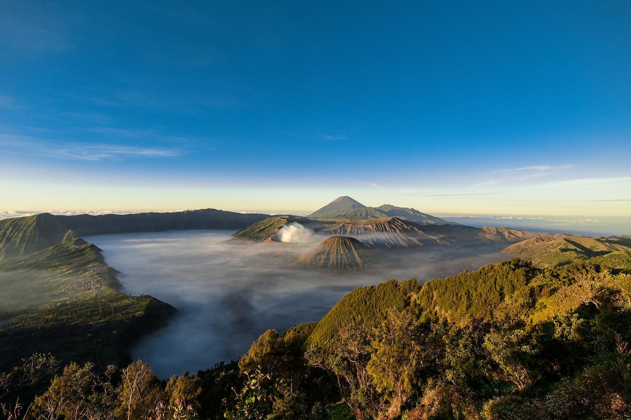 Grand Whiz Hotel Bromo Exterior photo